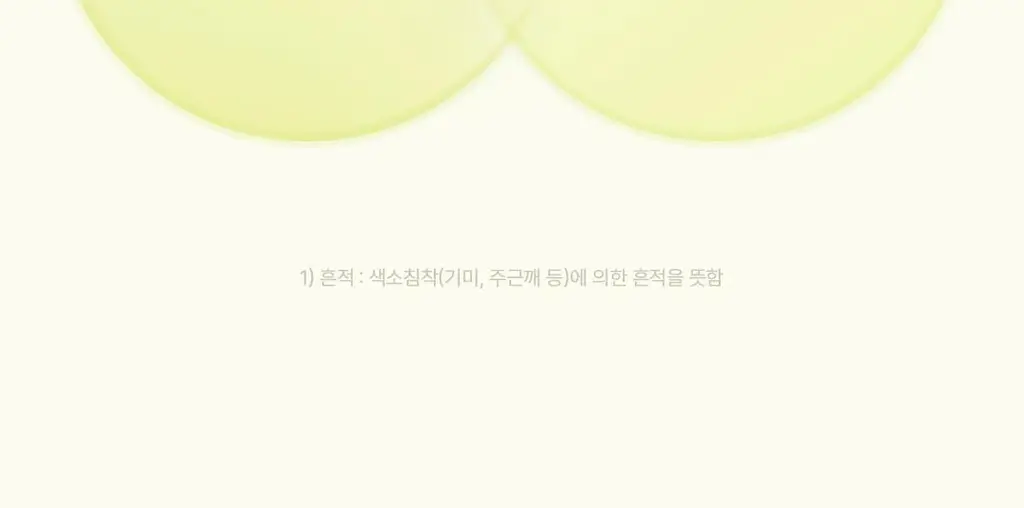 [NEW/화잘먹/비타속광] 오우즈너리 비타3 푸딩 크림 50ml 상세페이지 9